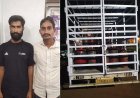 अवैध गैस कारोबार पर पुलिस की कार्रवाई, 45 सिलेंडर के साथ पिकअप पकड़ी गई, दो हिरासत में