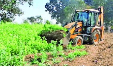 अवैध अफीम की खेती पर बड़ी कार्रवाई, 14 लाख पौधे किए गए नष्ट, कीमत करीब 8 करोड़, भाजपा नेता सहित 3 पकड़े गए