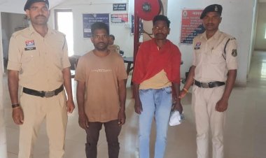 बलरामपुर में 2 करोड़ की एक और अवैध अफीम खेती का खुलासा, 1.47 एकड़ खेत से 18 क्विंटल अफीम जब्त, 2 आरोपी गिरफ्तार