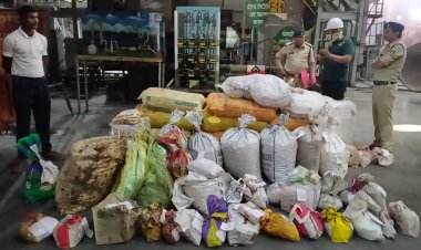 दुर्ग में 58 एनडीपीएस मामलों के जब्त मादक पदार्थ नष्ट, 6 क्विंटल से अधिक गांजा सहित हजारों नशीली गोलियां-कैप्सूल खत्म