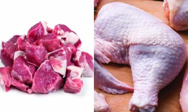 2 दिन बंद रहेगा मांस-मटन विक्रय केन्द्र