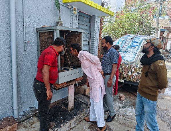 डेंगू और मलेरिया के विरुद्ध नगर निगम का महा-अभियान, अब तक 23 हजार से अधिक घरों का हुआ सर्वे