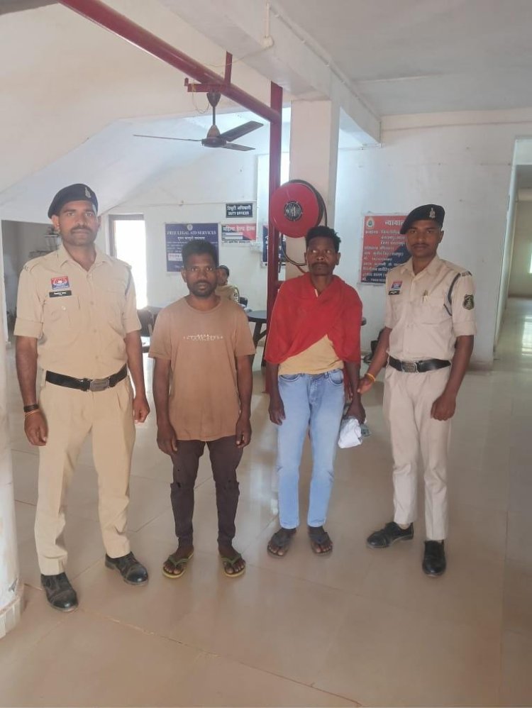 बलरामपुर में 2 करोड़ की एक और अवैध अफीम खेती का खुलासा, 1.47 एकड़ खेत से 18 क्विंटल अफीम जब्त, 2 आरोपी गिरफ्तार