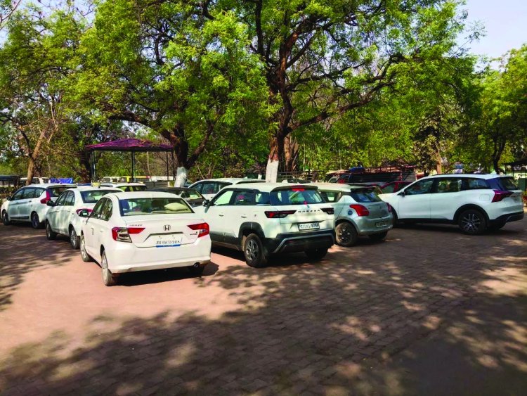 नशेड़ी ड्राइवर्स पर सख्ती: एक रात में 159 पर कार्रवाई, टूटा पुराना रिकॉर्ड