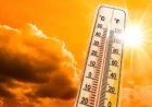 दुर्ग जिले में हीट वेव अलर्ट जारी, दोपहर में बाहर निकलने से बचने की सलाह