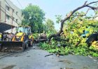 आंधी-तूफान का कहर, 96 लोगों की मौत, कई जिलों में तबाही