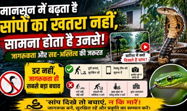 मानसून में बढ़ता है सांपों का खतरा, विशेषज्ञ बोले- डर नहीं, सही जानकारी और सतर्कता ही सबसे बड़ा बचाव