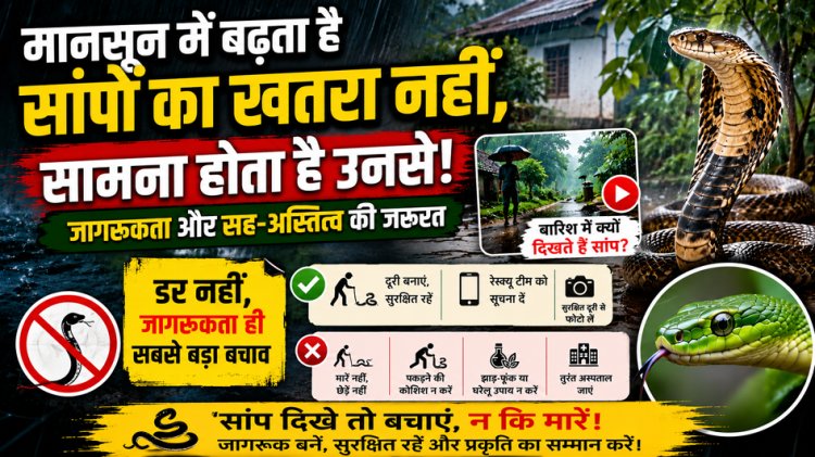 मानसून में बढ़ता है सांपों का खतरा, विशेषज्ञ बोले- डर नहीं, सही जानकारी और सतर्कता ही सबसे बड़ा बचाव