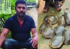 11 जीवित कछुओं के साथ तस्कर गिरफ्तार