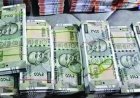 PNB के करेंसी चेस्ट में मिले ₹7.40 करोड़ के संदिग्ध नोट