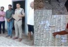 कत्था लकड़ी के अवैध कारोबार से जुड़े आरोपी के घर से 81 लाख कैश बरामद