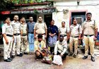 अवैध शराब के खिलाफ आबकारी विभाग की कार्रवाई, 4 आरोपी गिरफ्तार
