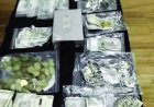स्कूल का पूर्व प्रिंसिपल निकला चोर गैंग का मास्टरमाइंड, कृषि अधिकारी बन सूने मकानों में करते थे चोरी