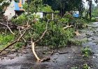 आंध्र प्रदेश में चक्रवात अर्नब का तांडव, तेज हवाओं और भारी बारिश से भारी नुकसान, 50 ट्रेनें और 21 उड़ानें रद्द
