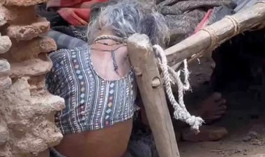 पोती को ले जाने का विरोध करने पर बुजुर्ग दादी की चाकू मारकर हत्या, आरोपी फरार